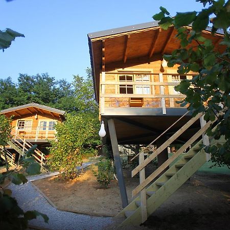 Ecolodge Langhe Cherasco Exteriér fotografie