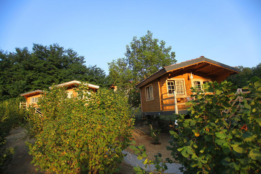 Ecolodge Langhe Cherasco Exteriér fotografie